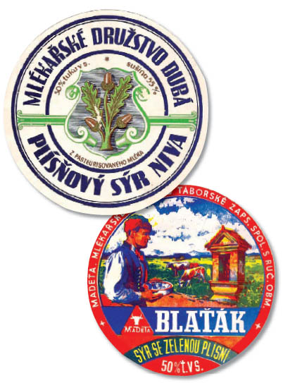 S�ry s vni�n� pl�sn�