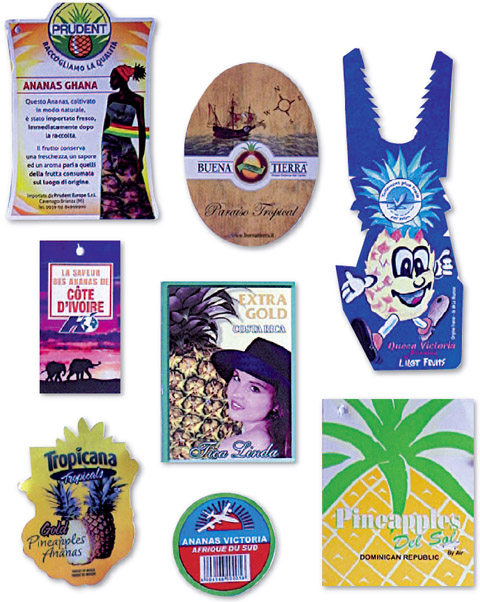 Visa�ky z ovoce a zeleniny